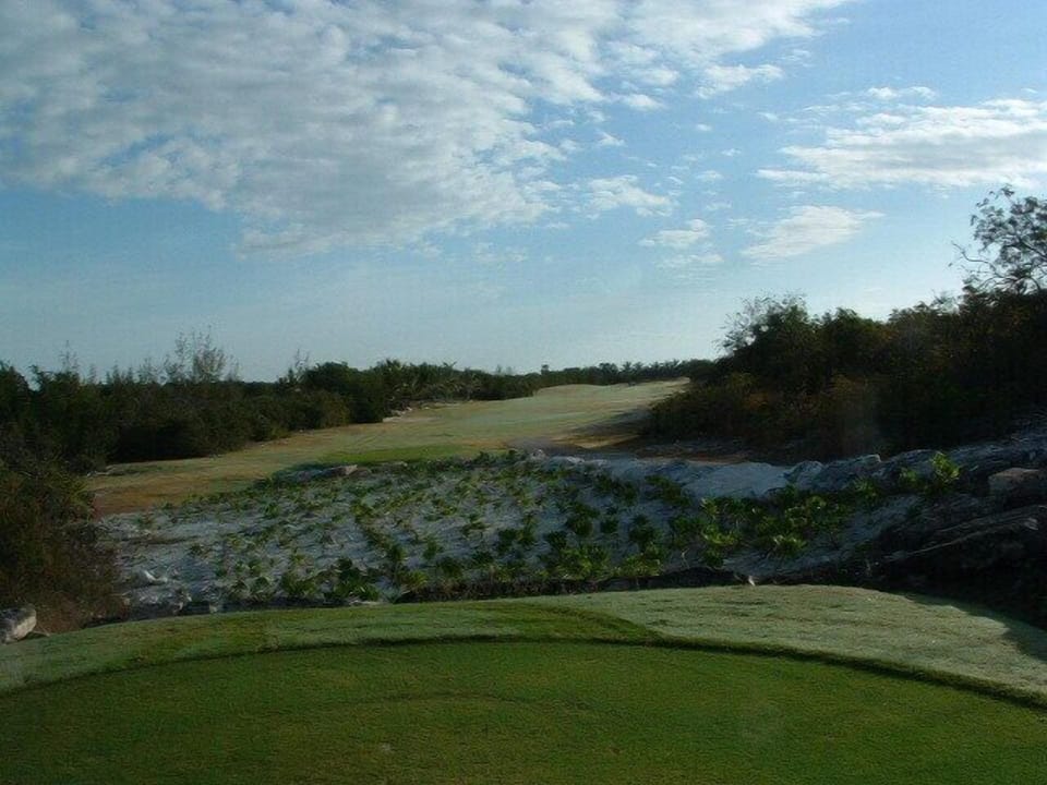 this is from the green,looking back down the fairway