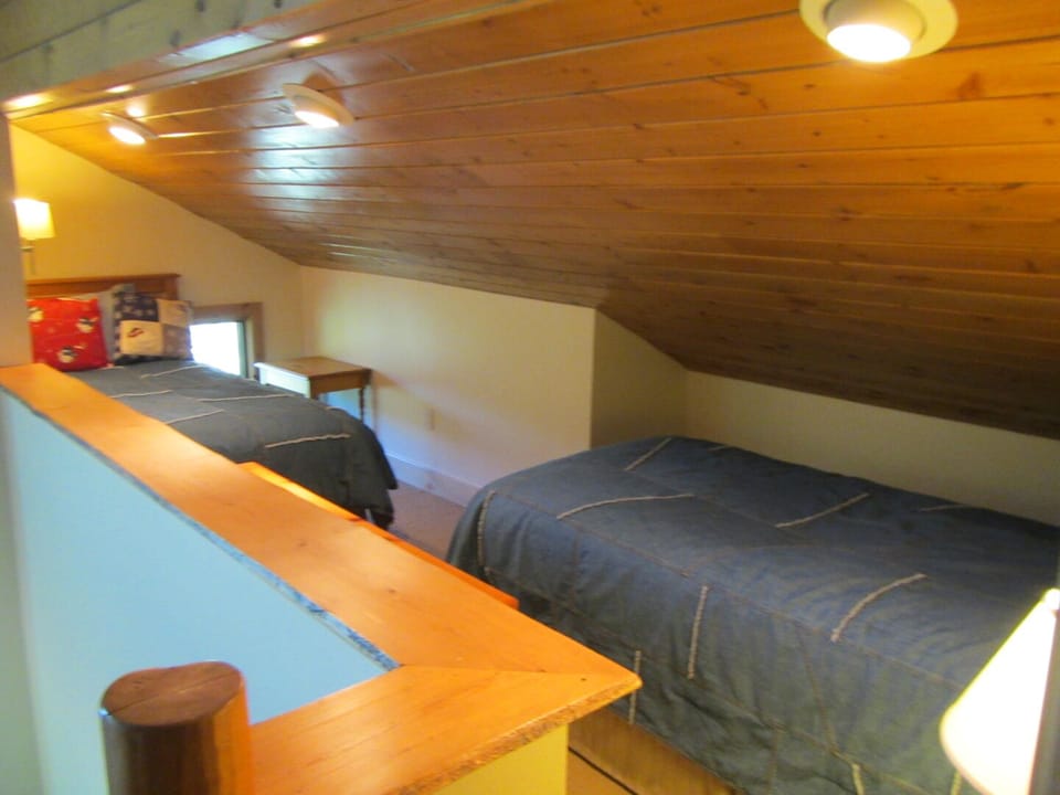 Loft area with two twins.  Fun for the kids!