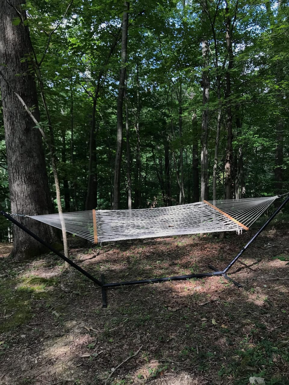 Relax in the hammock