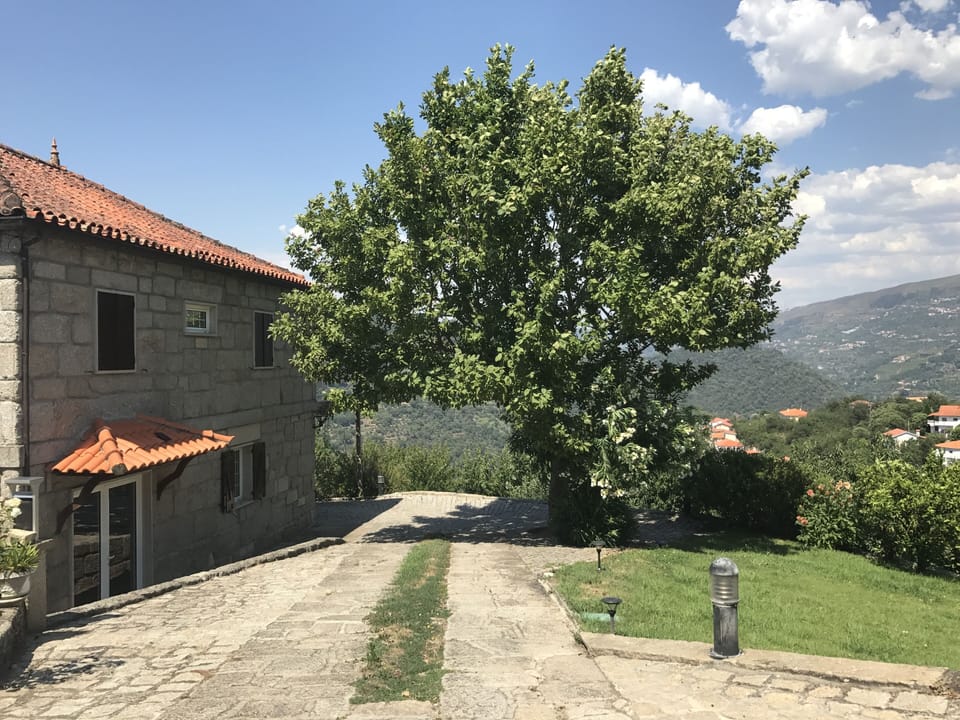 The house