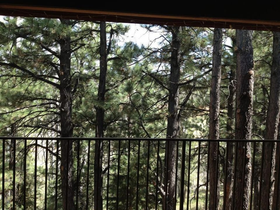View from the deck, you are secluded here