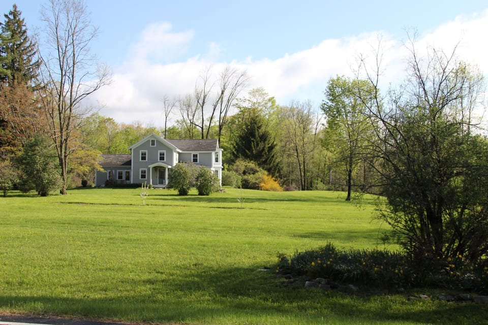 Front yard 