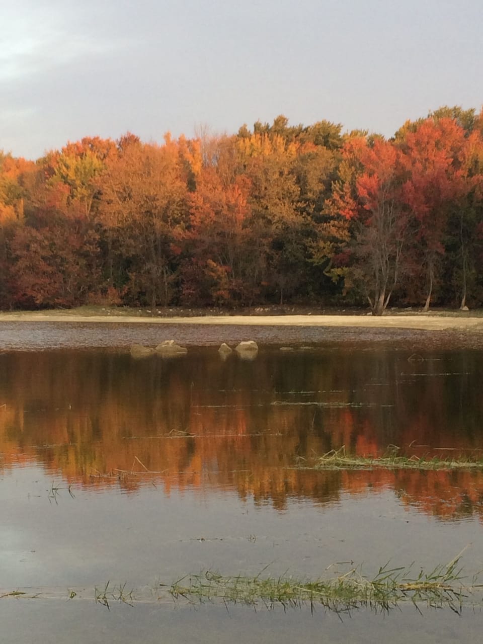 A short walk from the house will take you to the shores of Shallow Lake