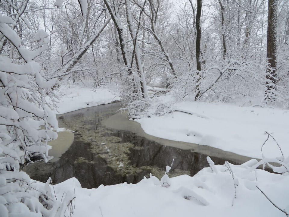 Little Beaver Creek
