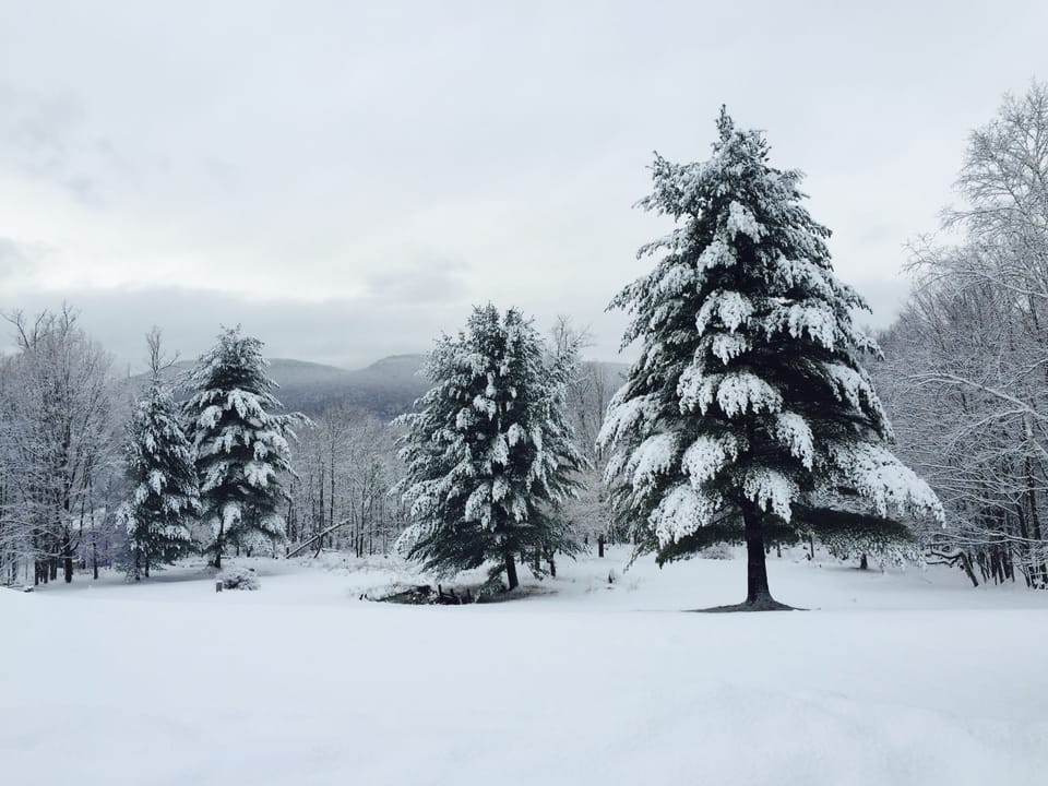 Winter view of our property