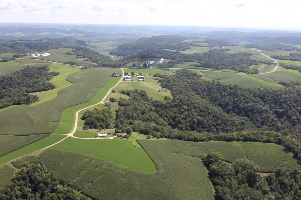 Aerial View.

