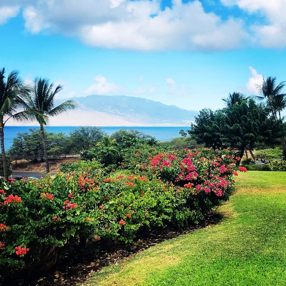 Grassy area in front of Anthurium House with view of West Maui Mountains