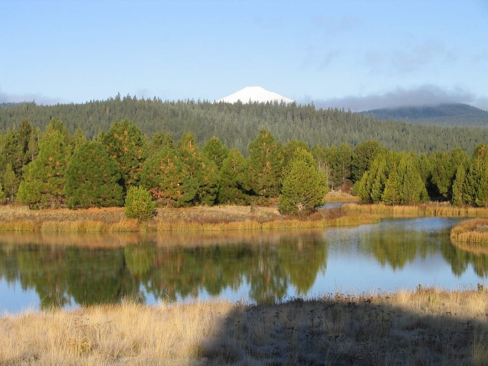 View of Mt. Bachelor over Lake Aspen--just a walk through the trees from Quelah