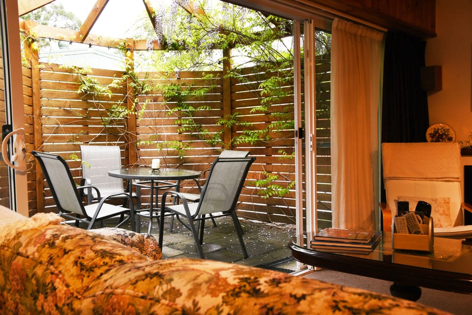 Patio Fernery