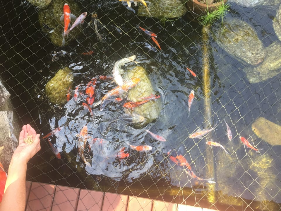 Children's area
