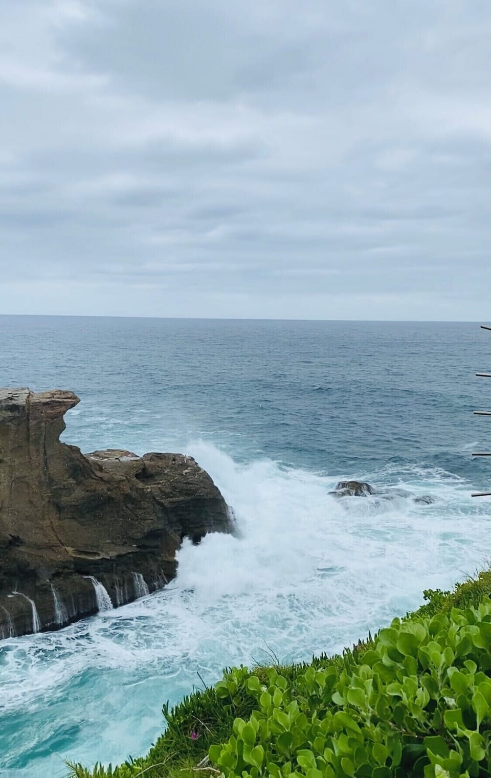 Snapper point. 