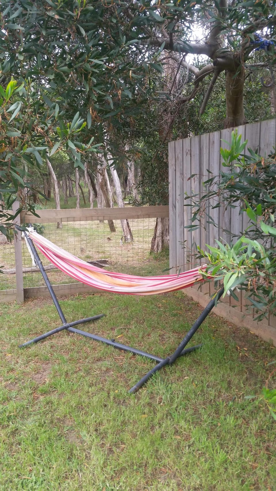 Hammock awaits 