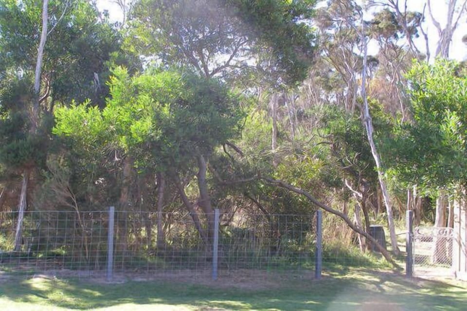 Backyard leads onto the bush and beach path.