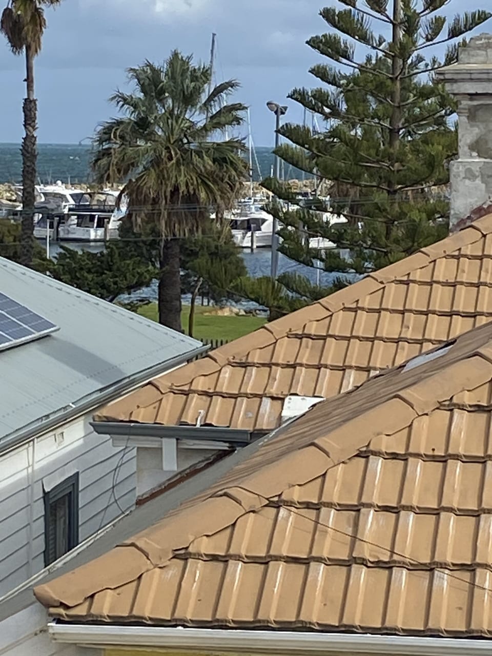 Across the road from the Fremantle Sailing Club