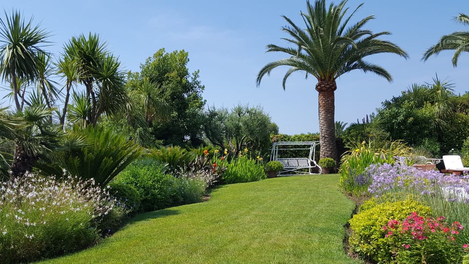 Magnificent garden