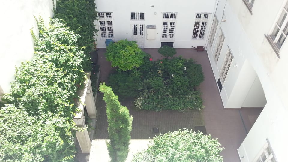 Backyard view
