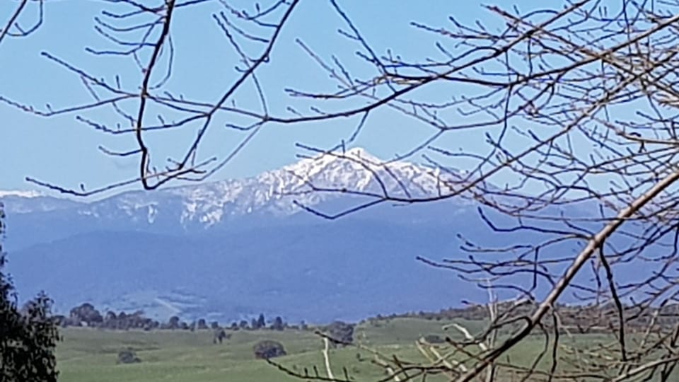 Mt Buller taken from Mansfield