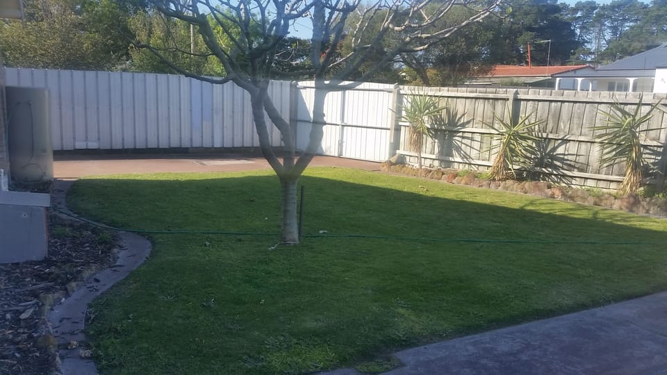 Back yard