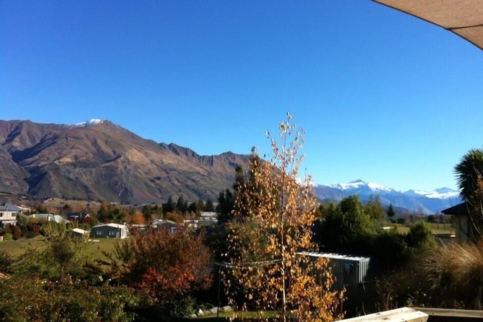 The View