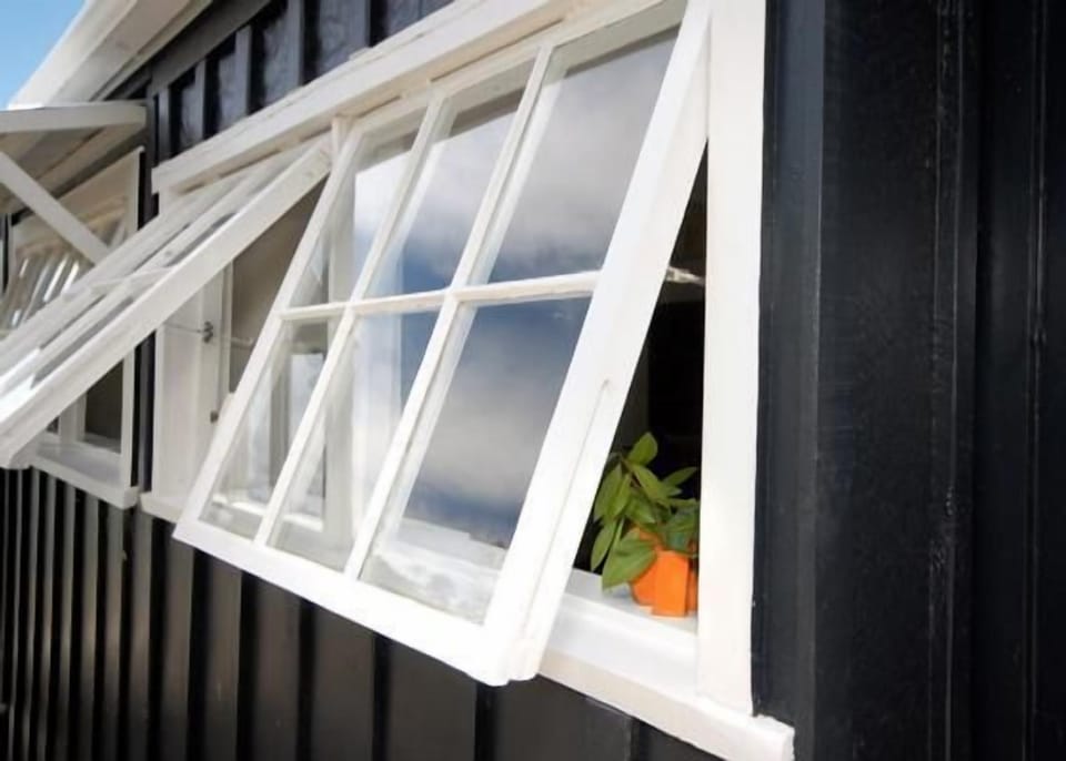 Kitchen windows