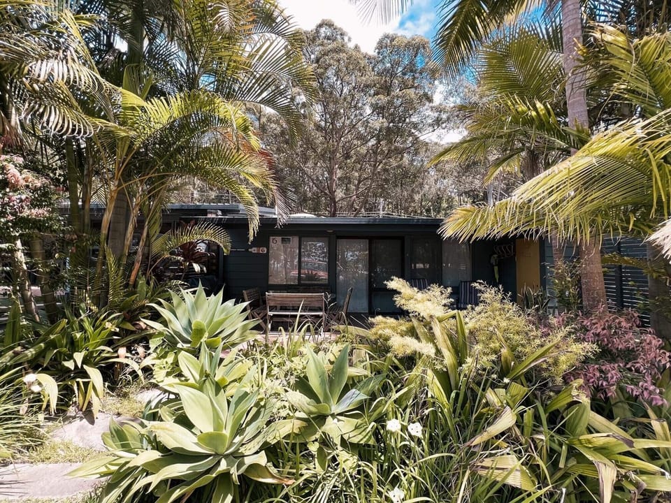 A tropical paradise