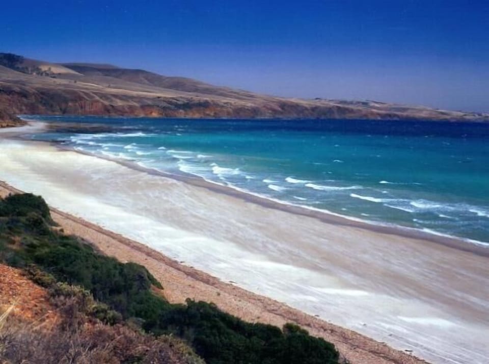 Take a walk on this beach!