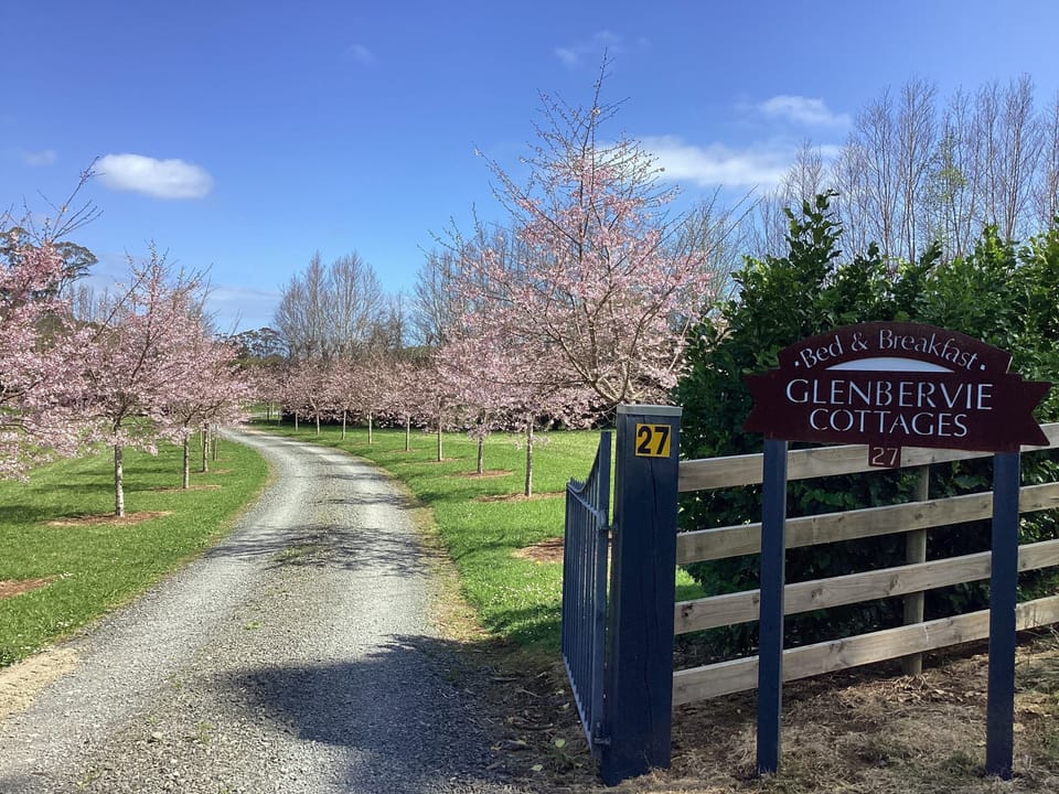 Drive up to private cottages 