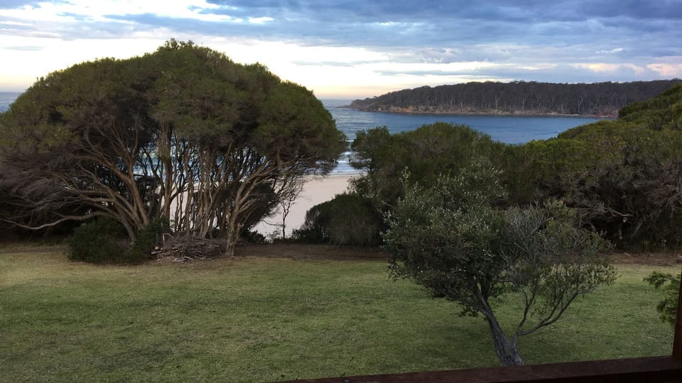 Large lawn area, kangaroos daily