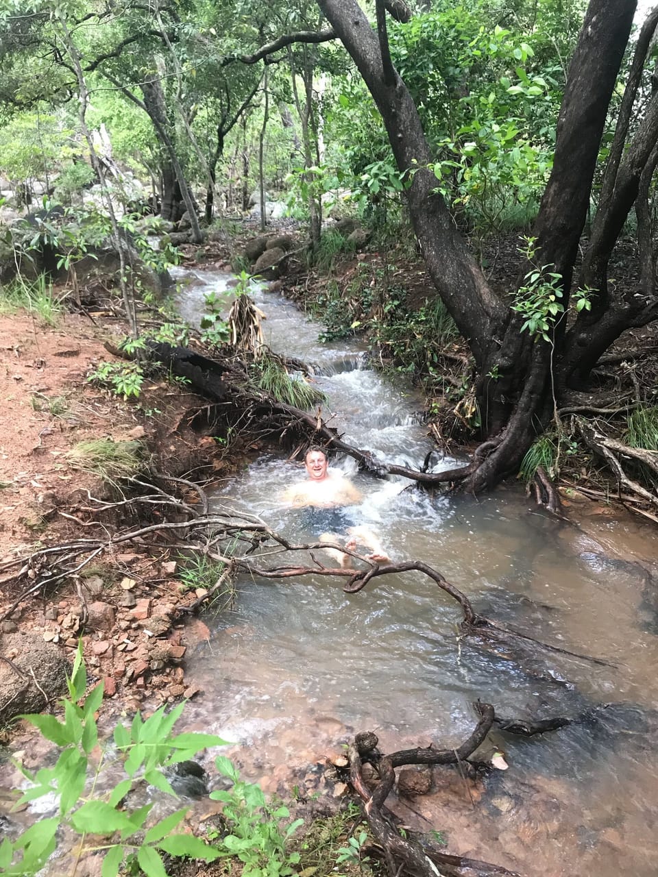 Seasonal creek in the back yard