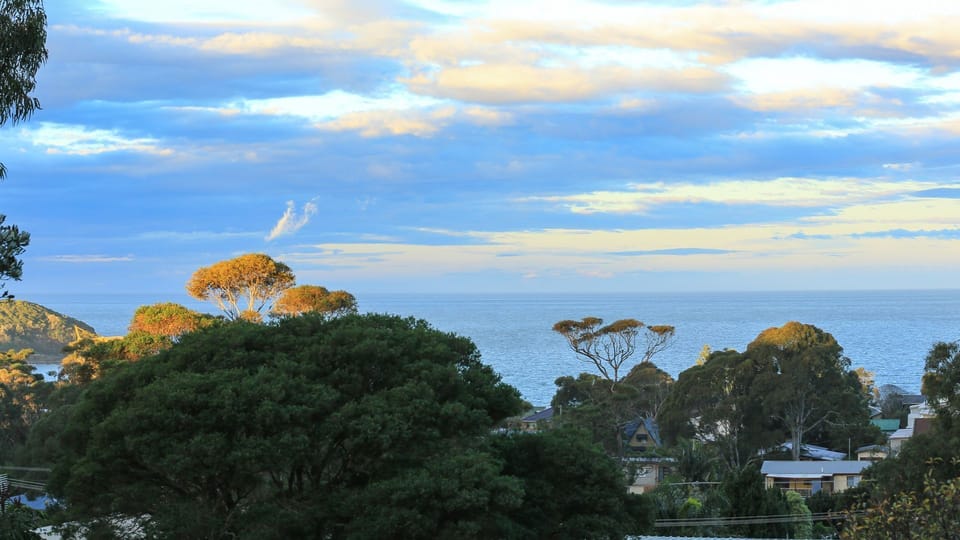 View from back deck
