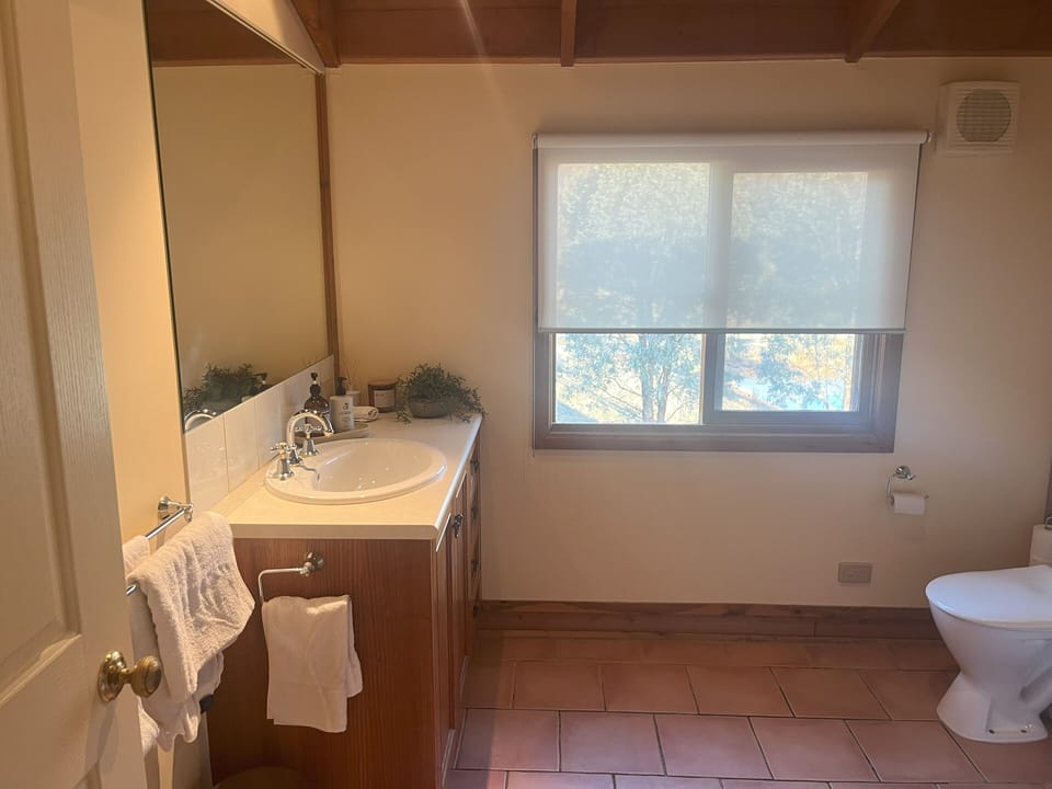 Family size bathroom with large shower/bath 