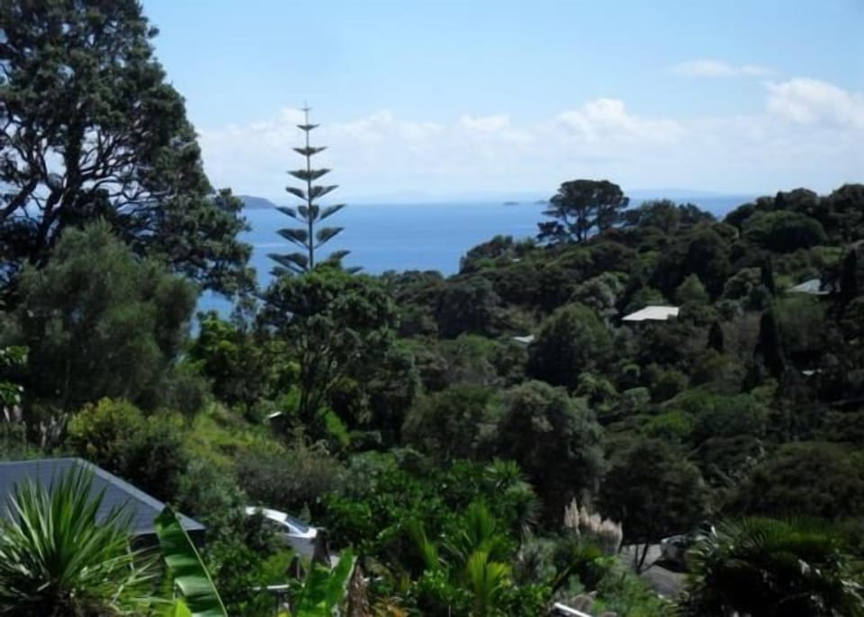 View from deck