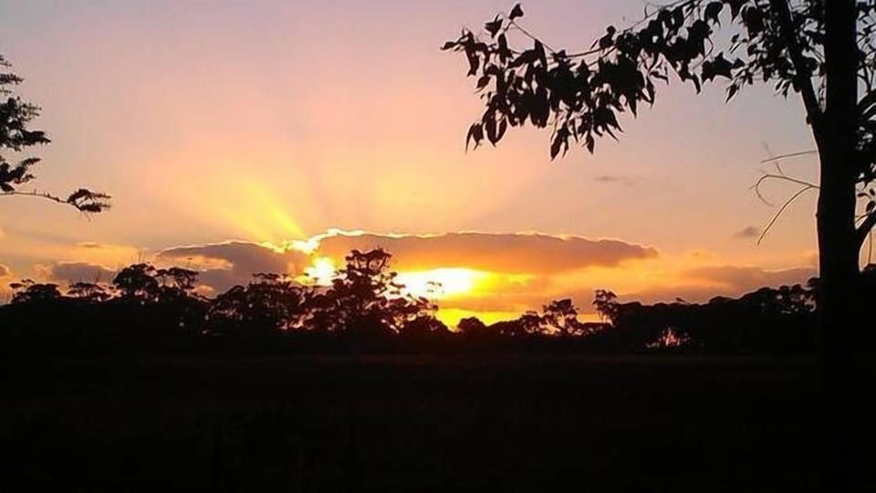Sunset across the front paddock