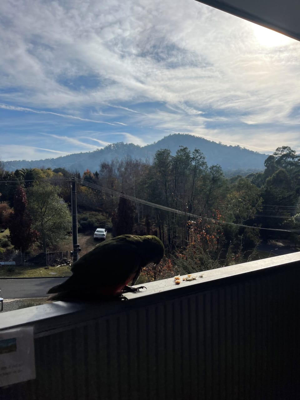 View from property