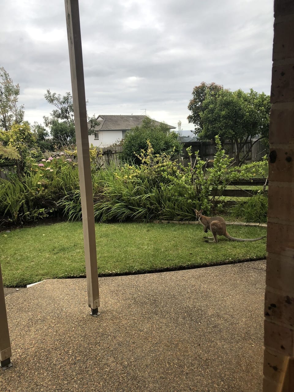 Our friendly neighbour