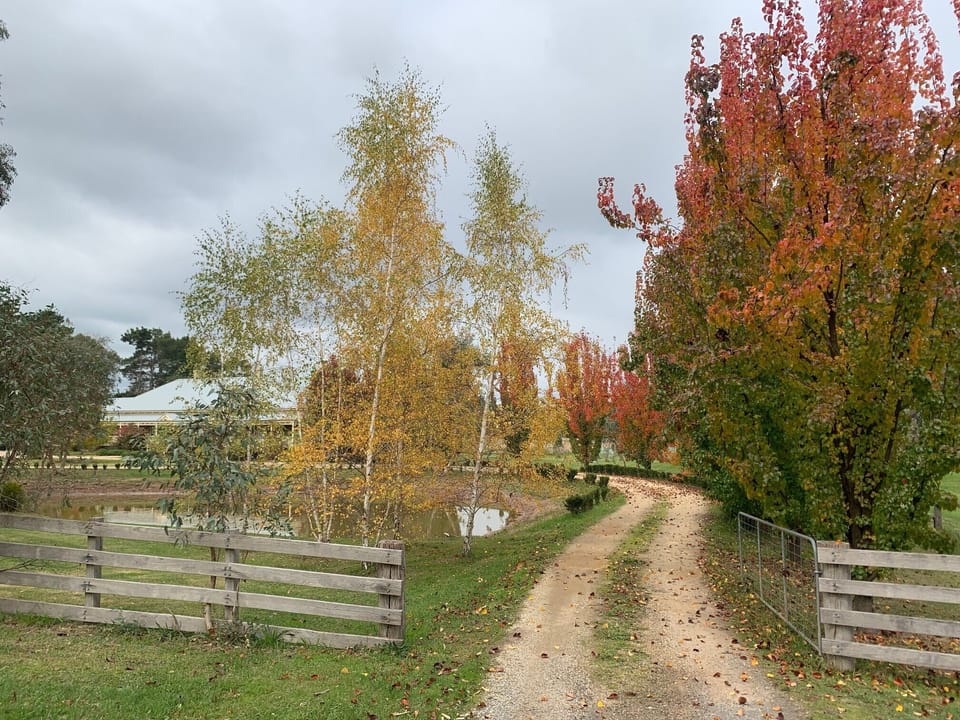 Driveway entrance