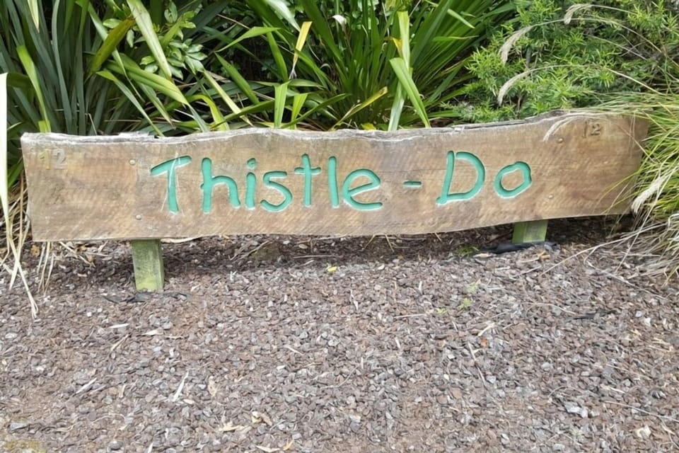 Thistle Do