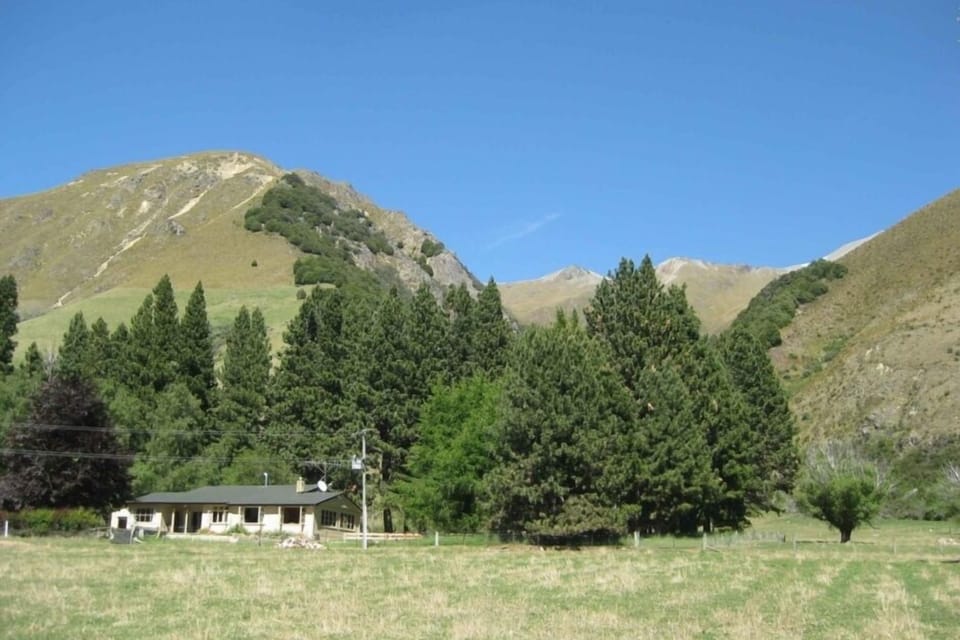 Homestead