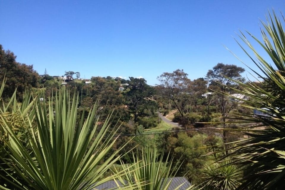 view from upstairs bedroom 