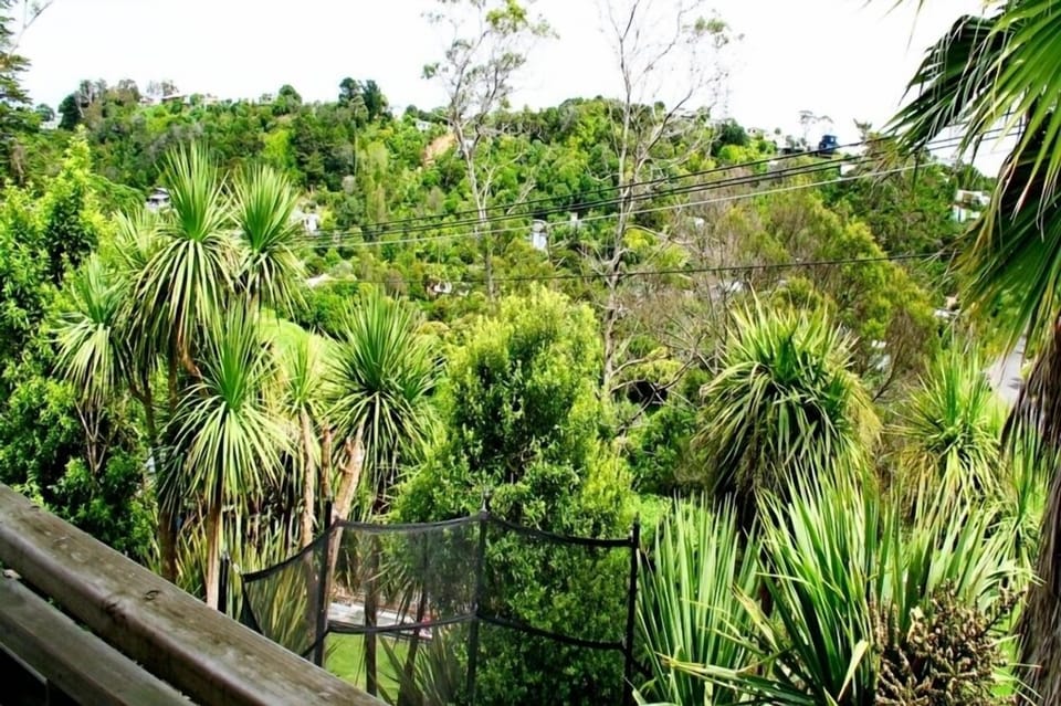 view front deck