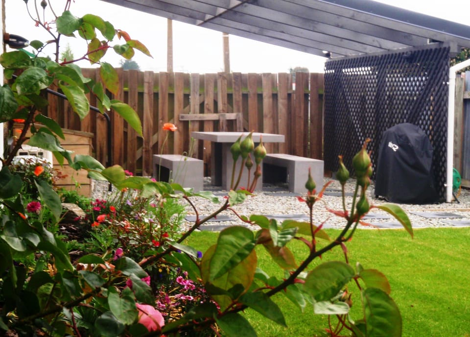 Our back garden is planted with flowering plants such as roses, peonies, tulips