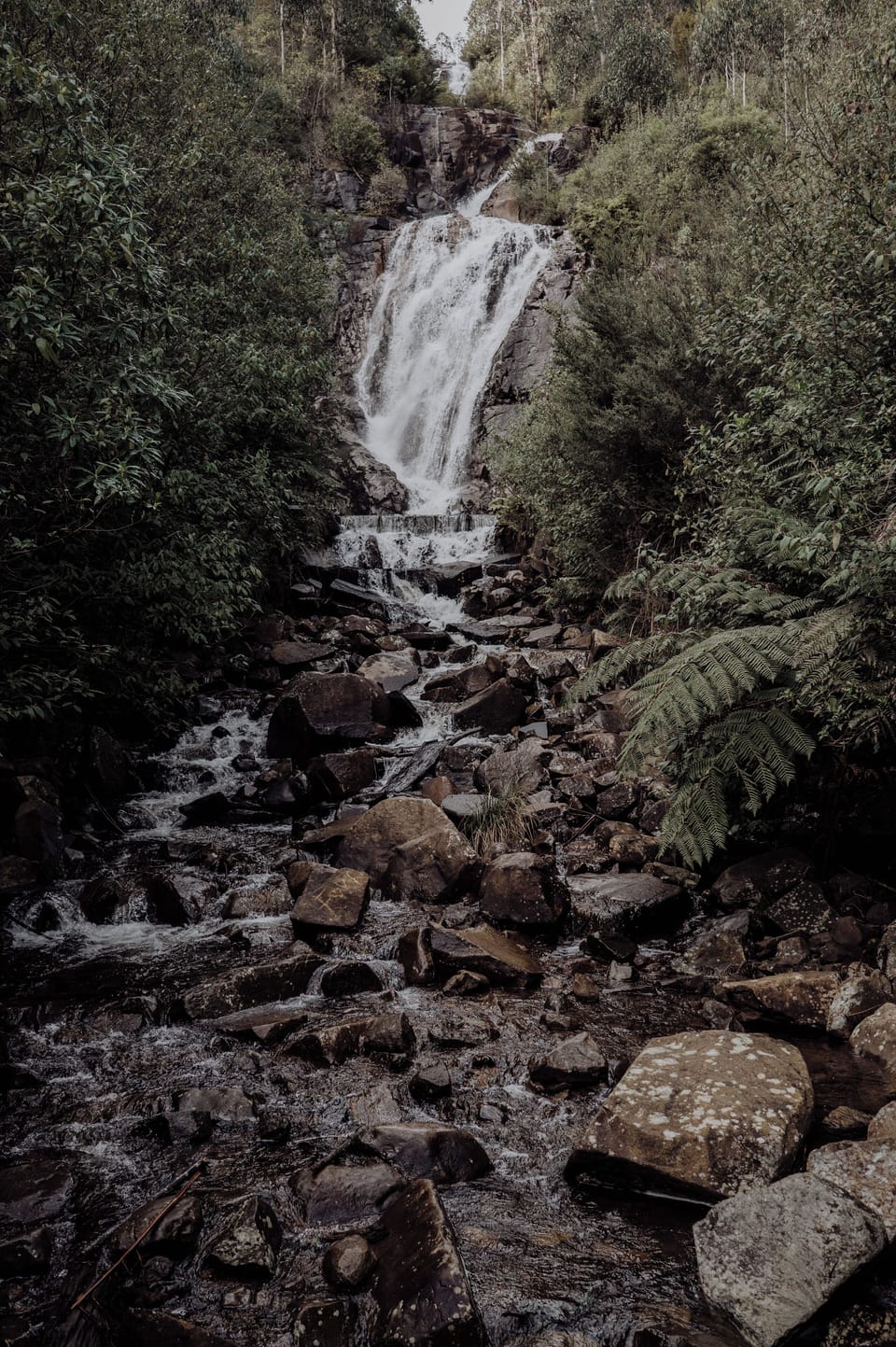 Nearby Stevensons Falls