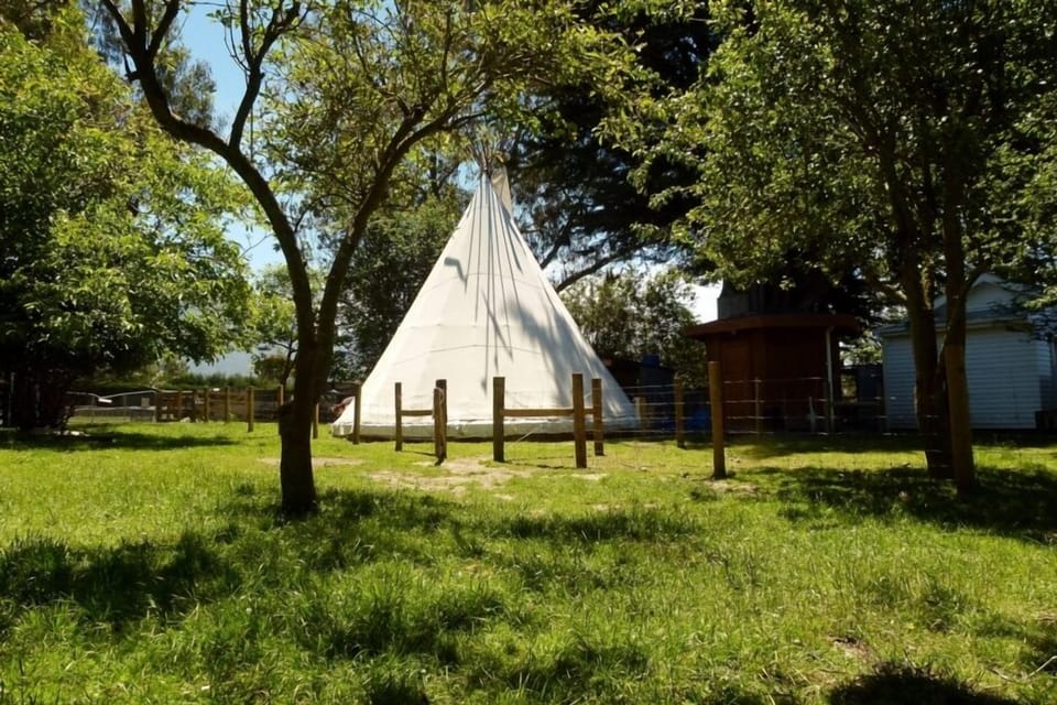 Tipi - clearing surrounded by trees