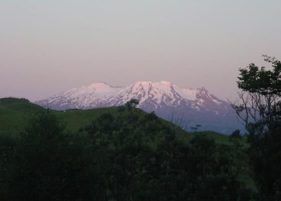 View of Ruapehu from property