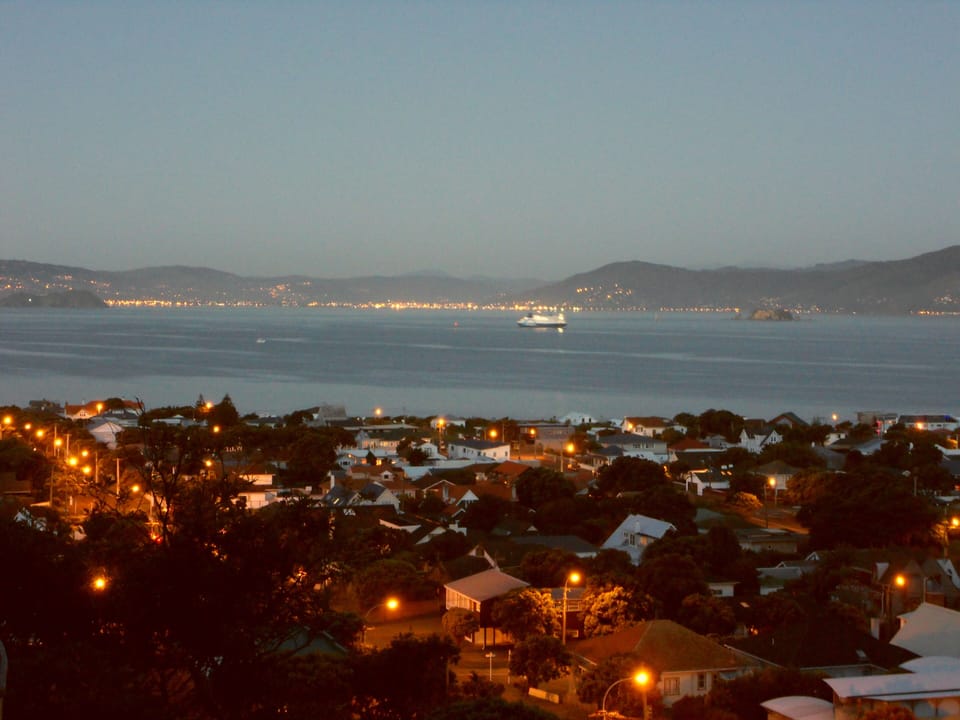 Part of the view - Seatoun at dusk