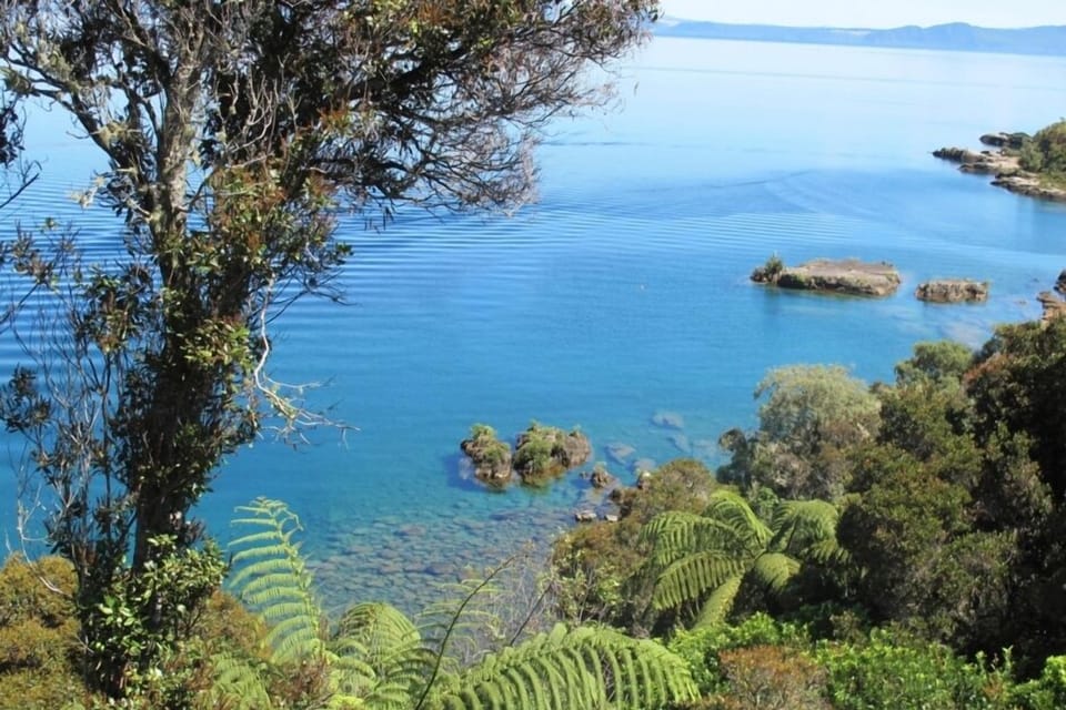 View from our house - Bliss