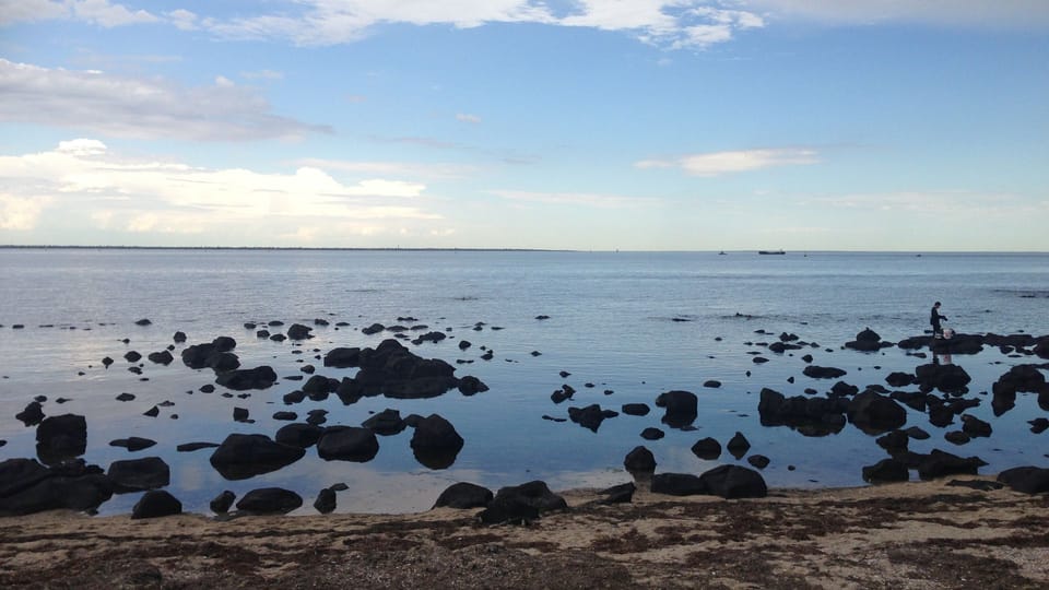 Back beach a part of our Coastal Lave Plain