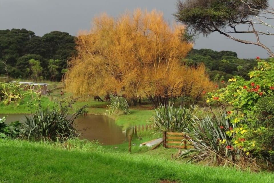 Winter at the ponds