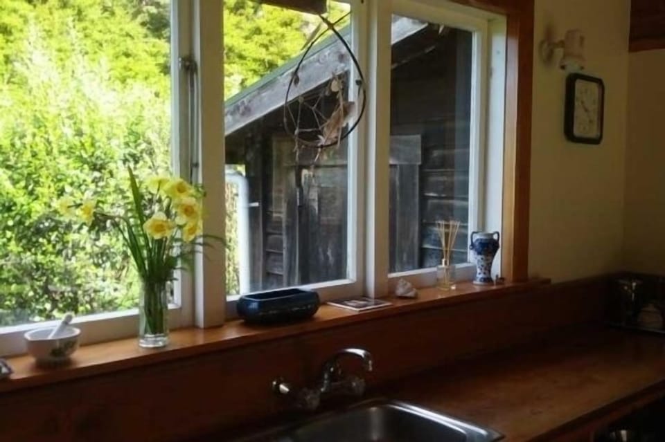 through kitchen window
