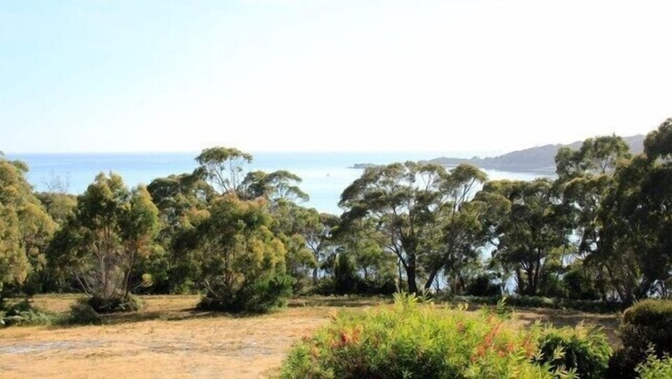 The views from the deck